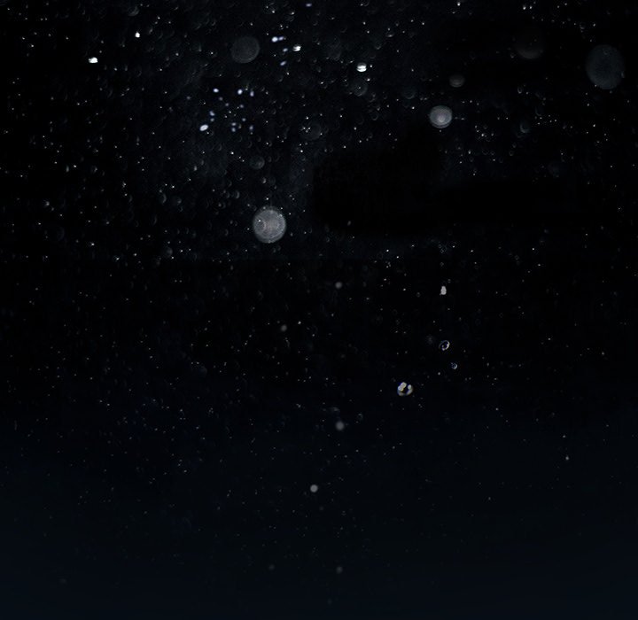 Leviathan Chapter 169 - Page 13