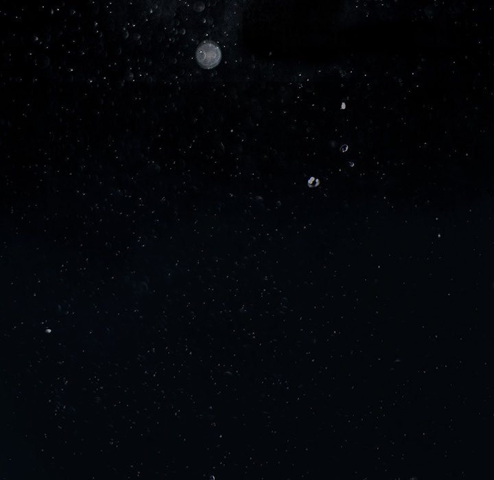 Leviathan Chapter 179 - Page 13