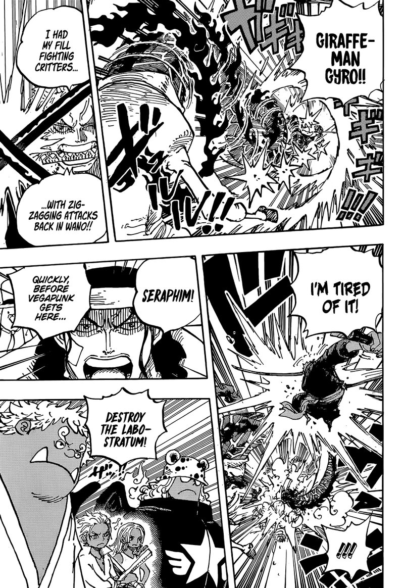 One Piece Chapter 1072 - Page 14