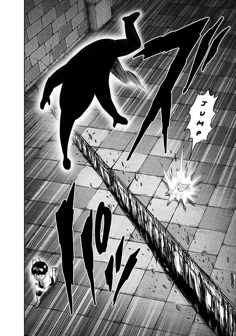 One Punch Man Chapter 161 - Page 25