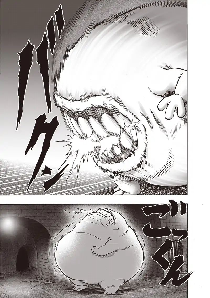 One Punch Man Chapter 166 - Page 5