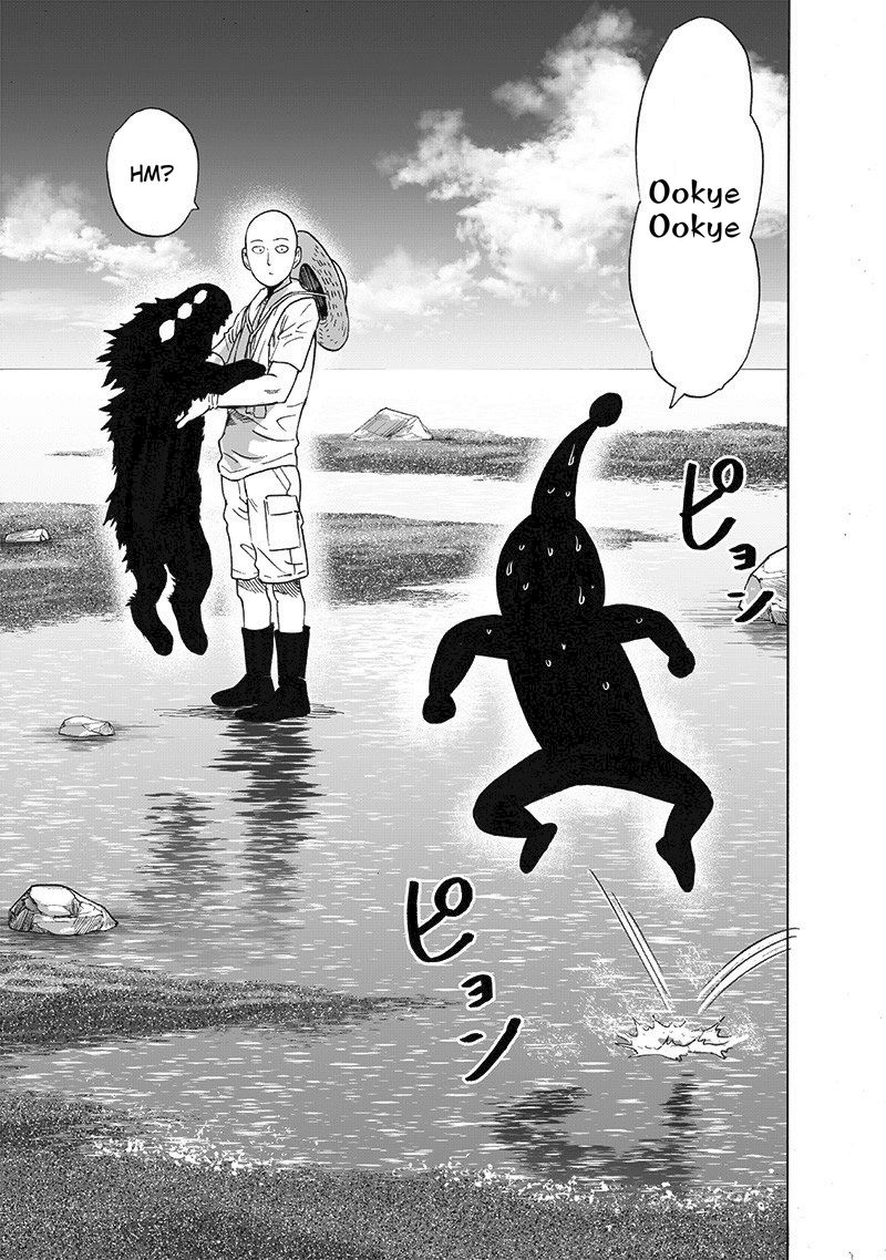 One Punch Man Chapter 230 - Page 29