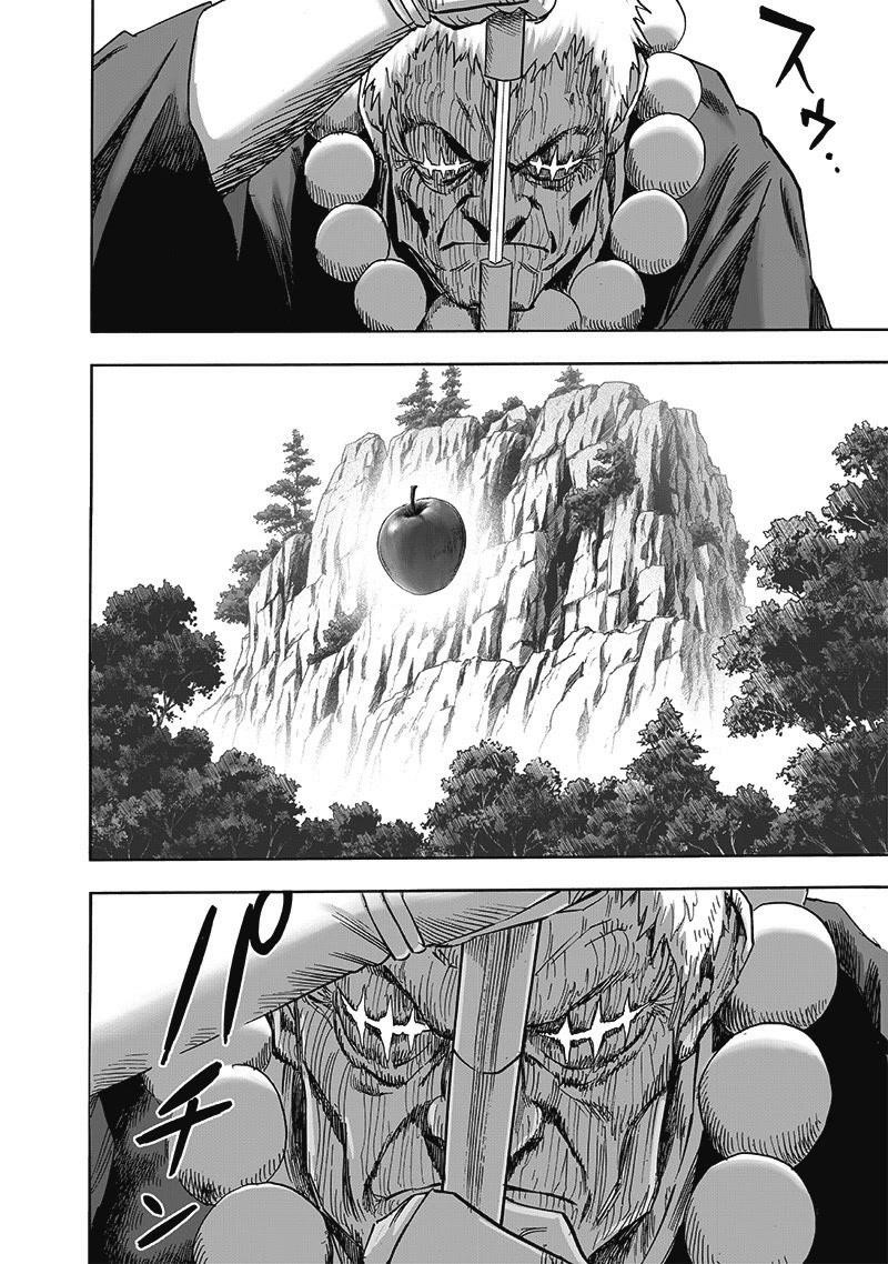 One Punch Man Chapter 248 - Page 14