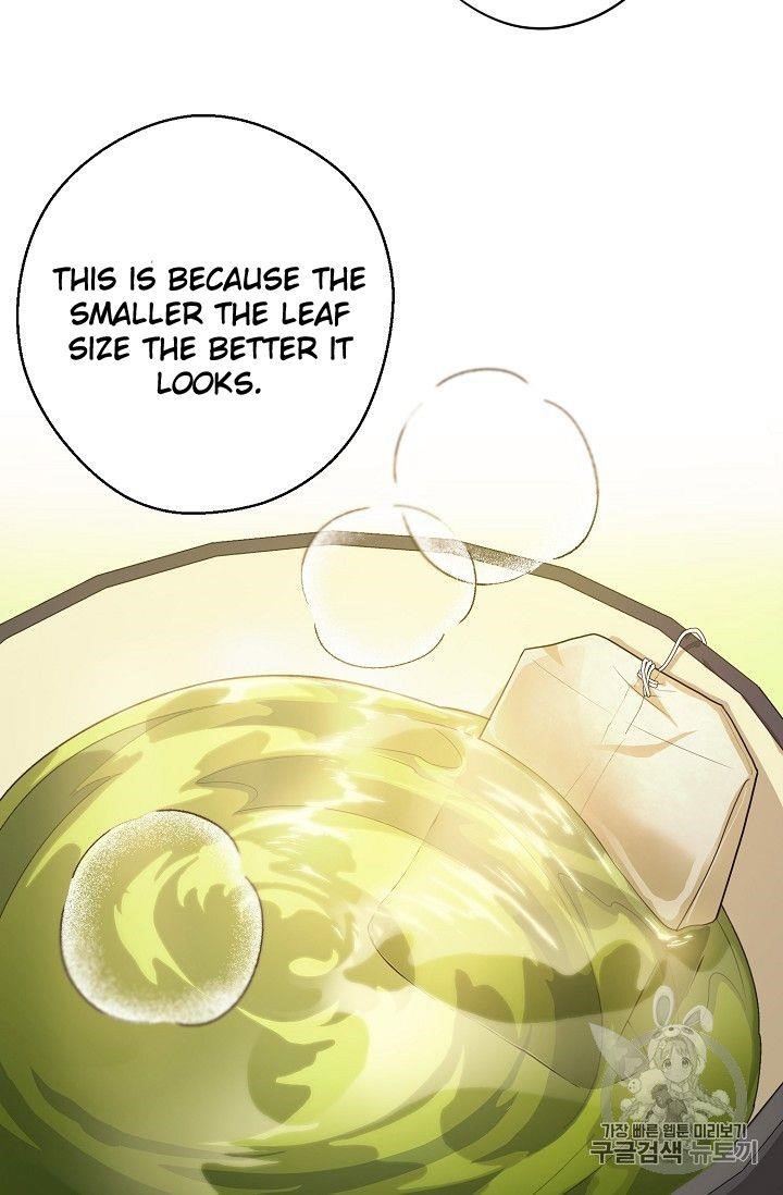 The Duchess’ 50 Tea Recipes Chapter 74 - Page 80