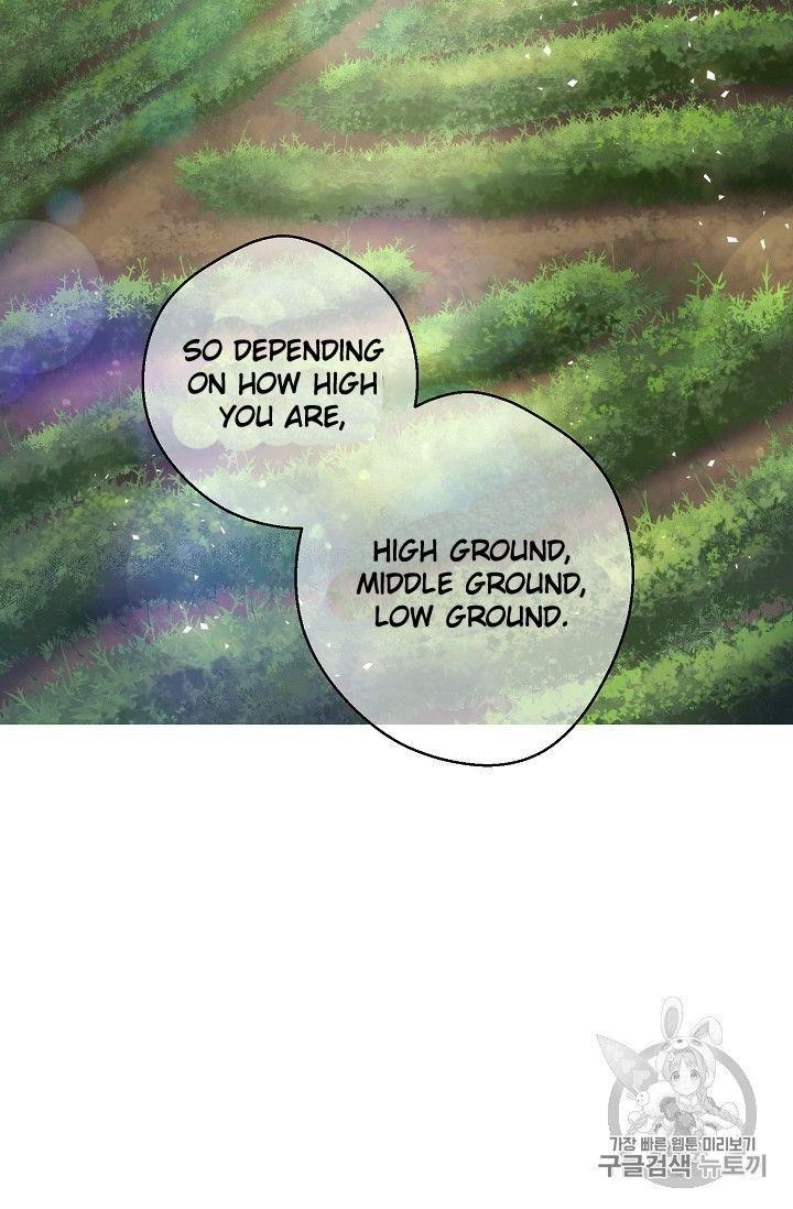 The Duchess’ 50 Tea Recipes Chapter 77 - Page 19