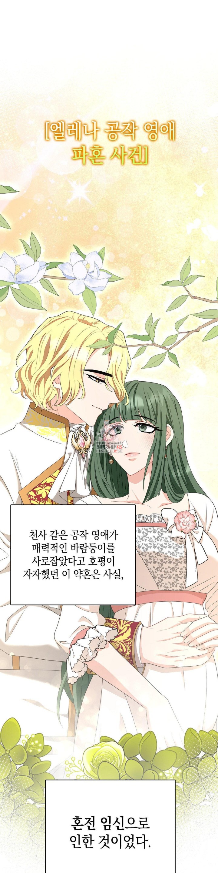 My Fairest Lady Raw Chapter 17 - Page 1